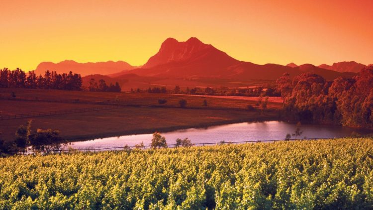 Maboneng Township Arts Experience Virtual Tours and Experiences