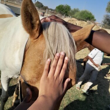 Soweto Creative & Equestrian Experience 1