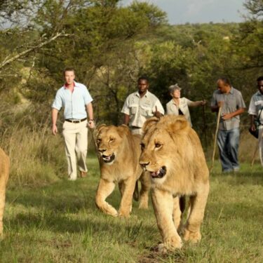 Explore Artistic and Natural Limpopo Gems