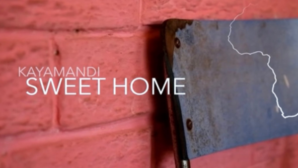 Untitled design (31)